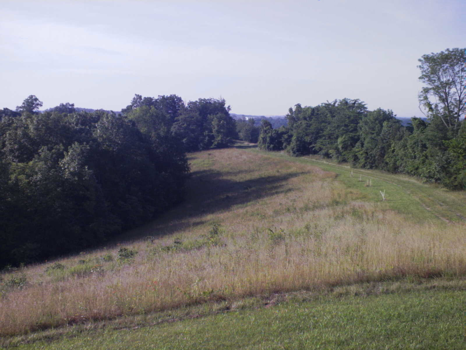 Farm Picture